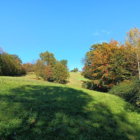 Agriturismo Fattoria Ortoalpino Trichiana Eksteriør bilde