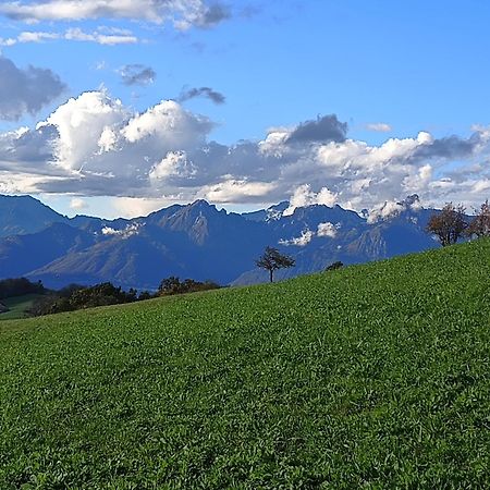 Agriturismo Fattoria Ortoalpino Trichiana Eksteriør bilde