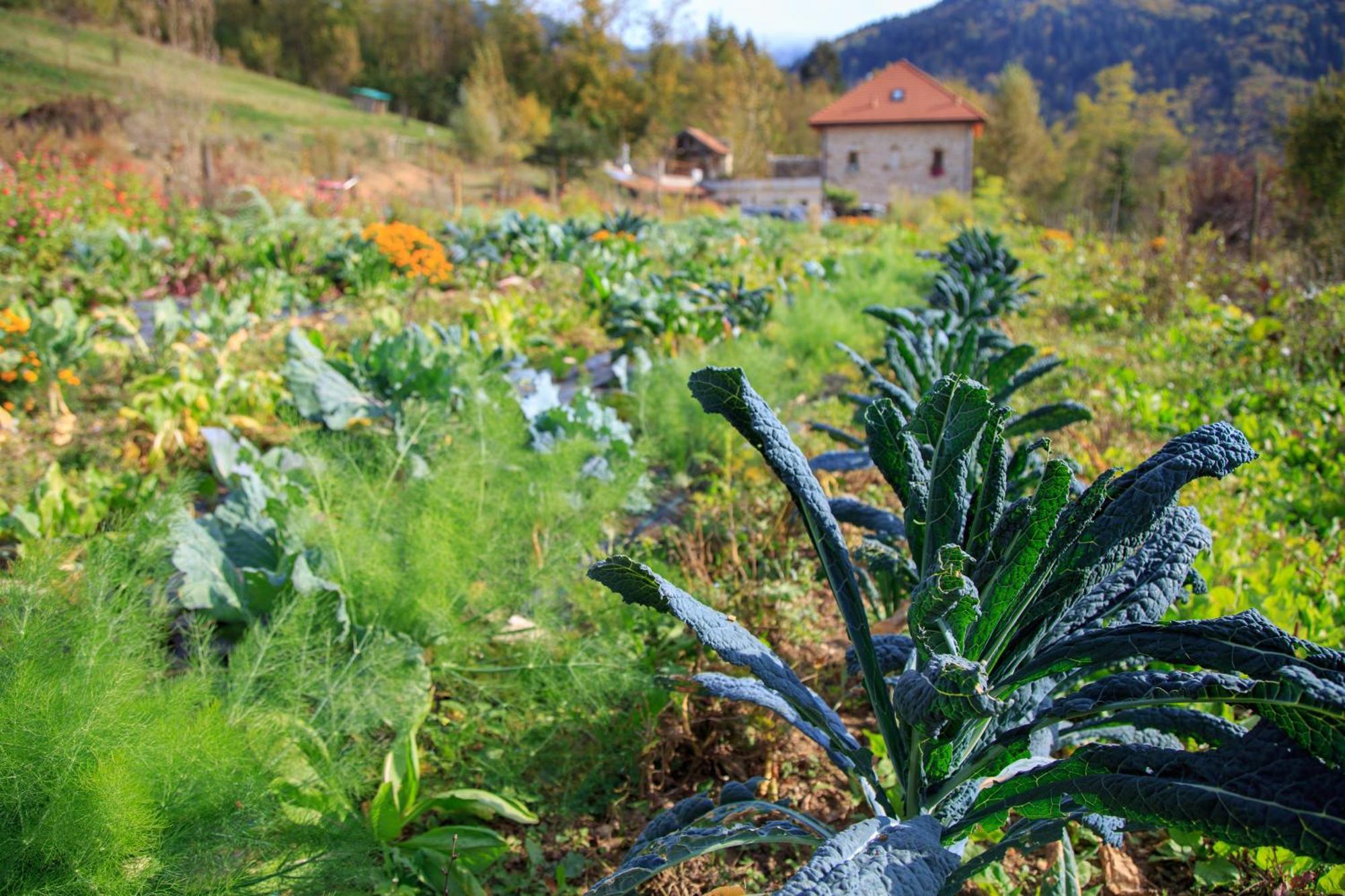 Agriturismo Fattoria Ortoalpino Trichiana Eksteriør bilde