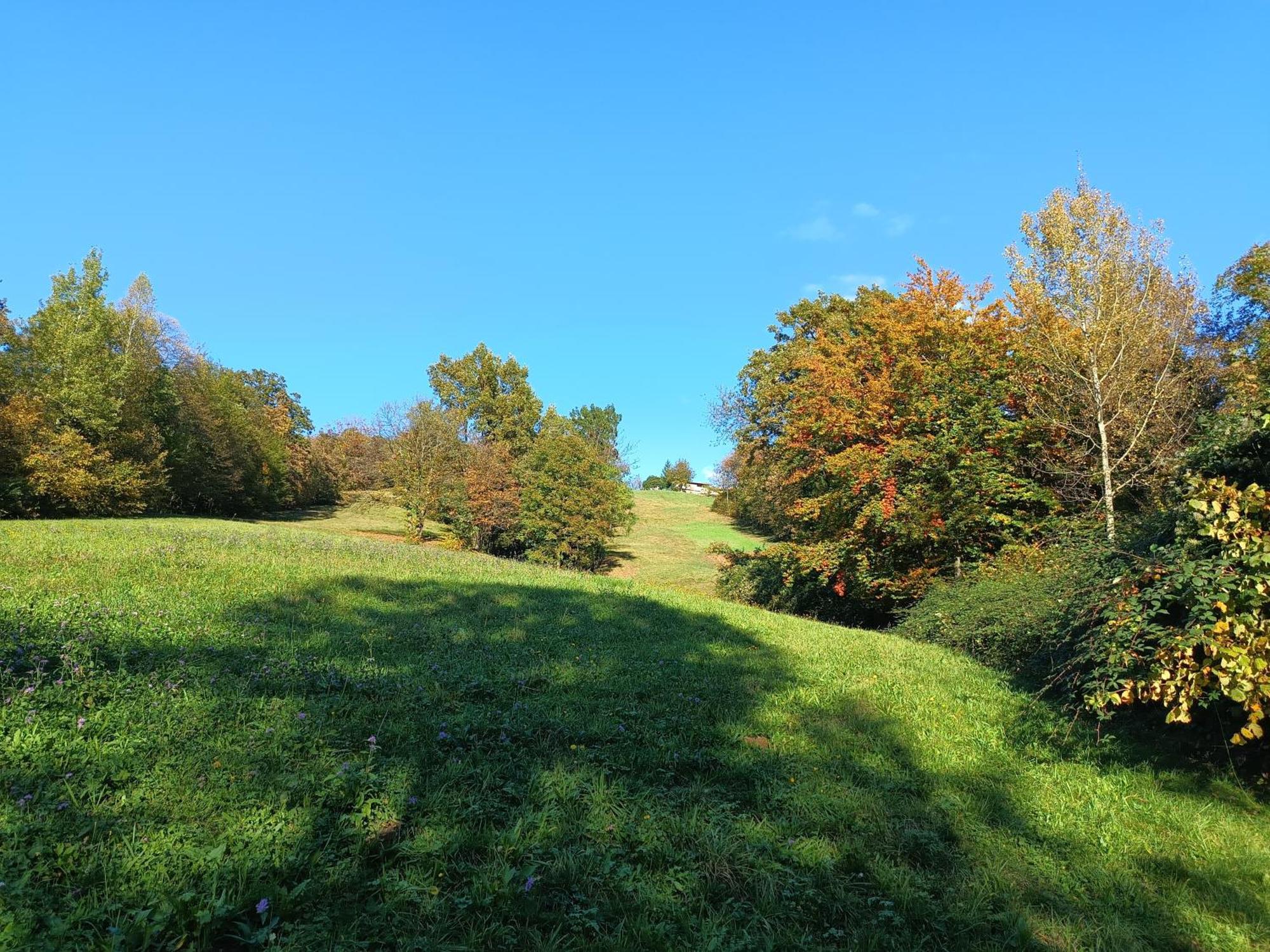 Agriturismo Fattoria Ortoalpino Trichiana Eksteriør bilde