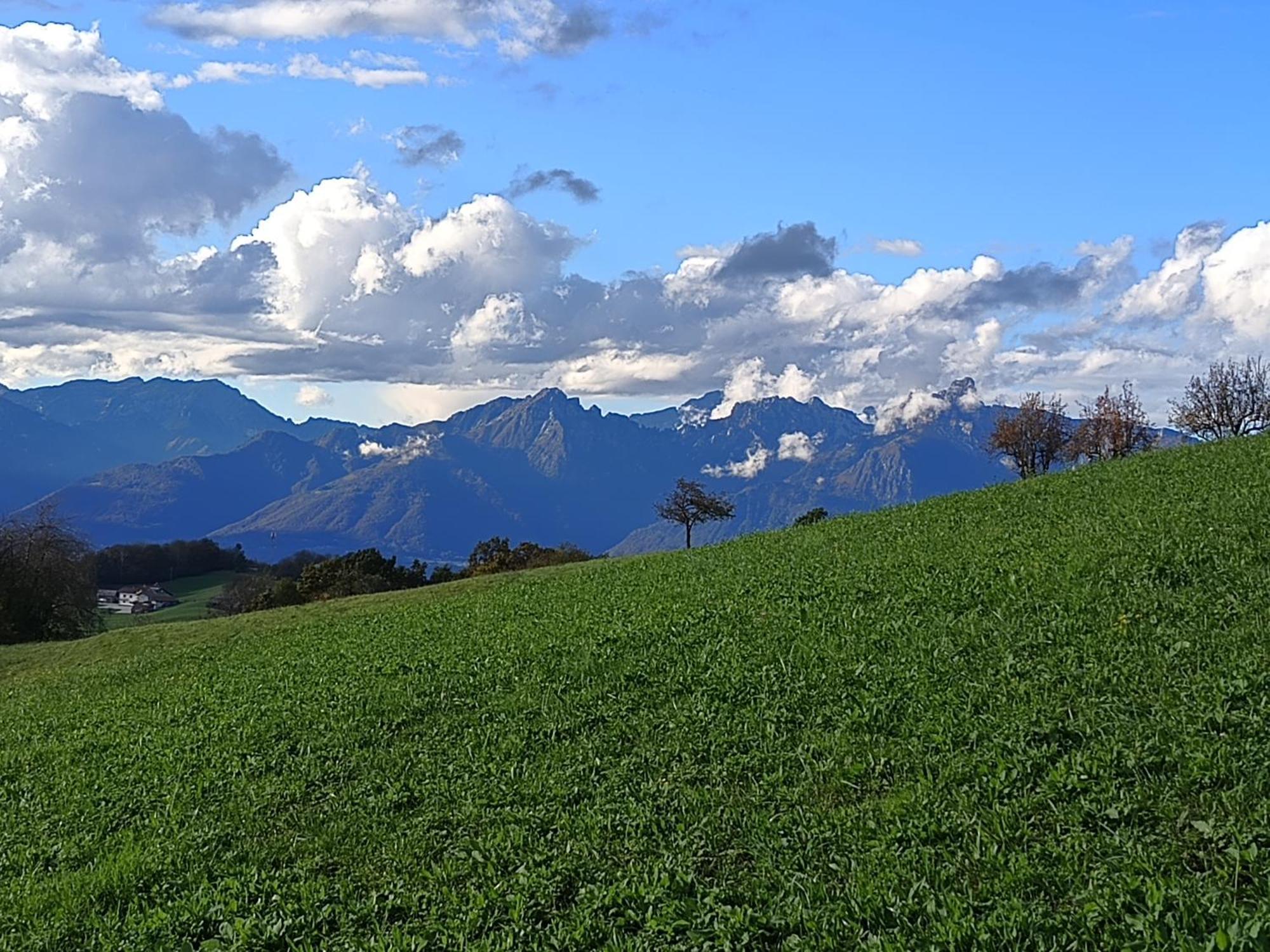 Agriturismo Fattoria Ortoalpino Trichiana Eksteriør bilde