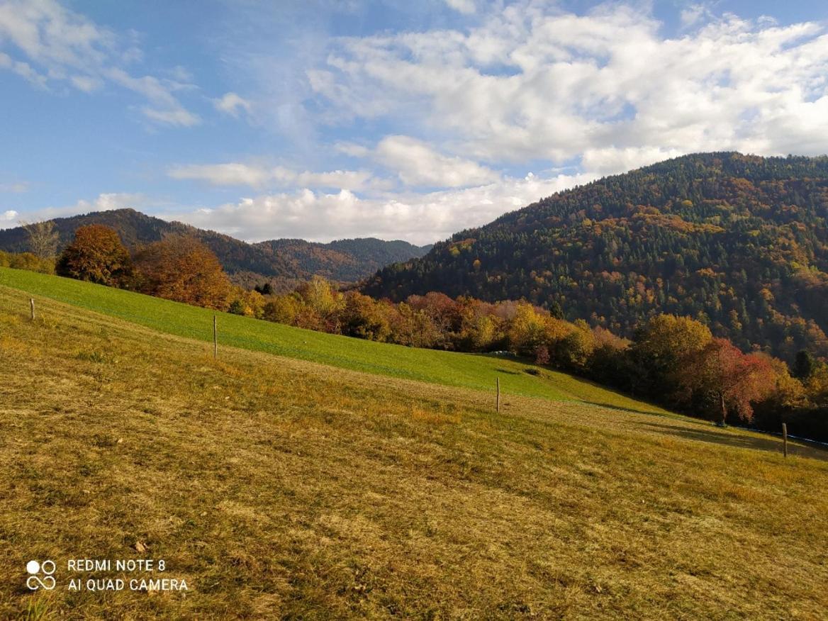 Agriturismo Fattoria Ortoalpino Trichiana Eksteriør bilde