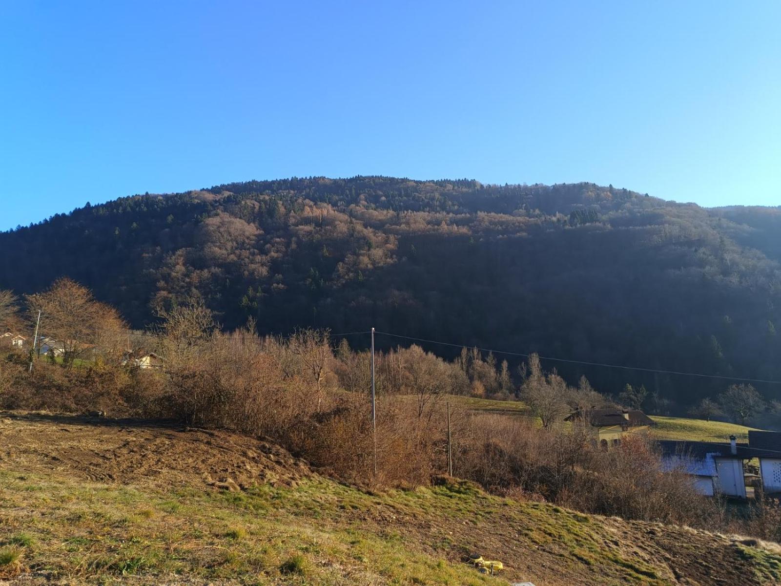 Agriturismo Fattoria Ortoalpino Trichiana Eksteriør bilde