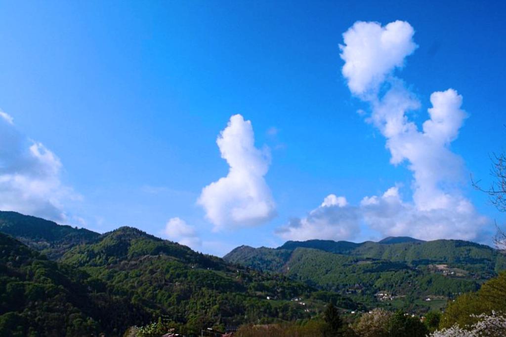 Agriturismo Fattoria Ortoalpino Trichiana Eksteriør bilde