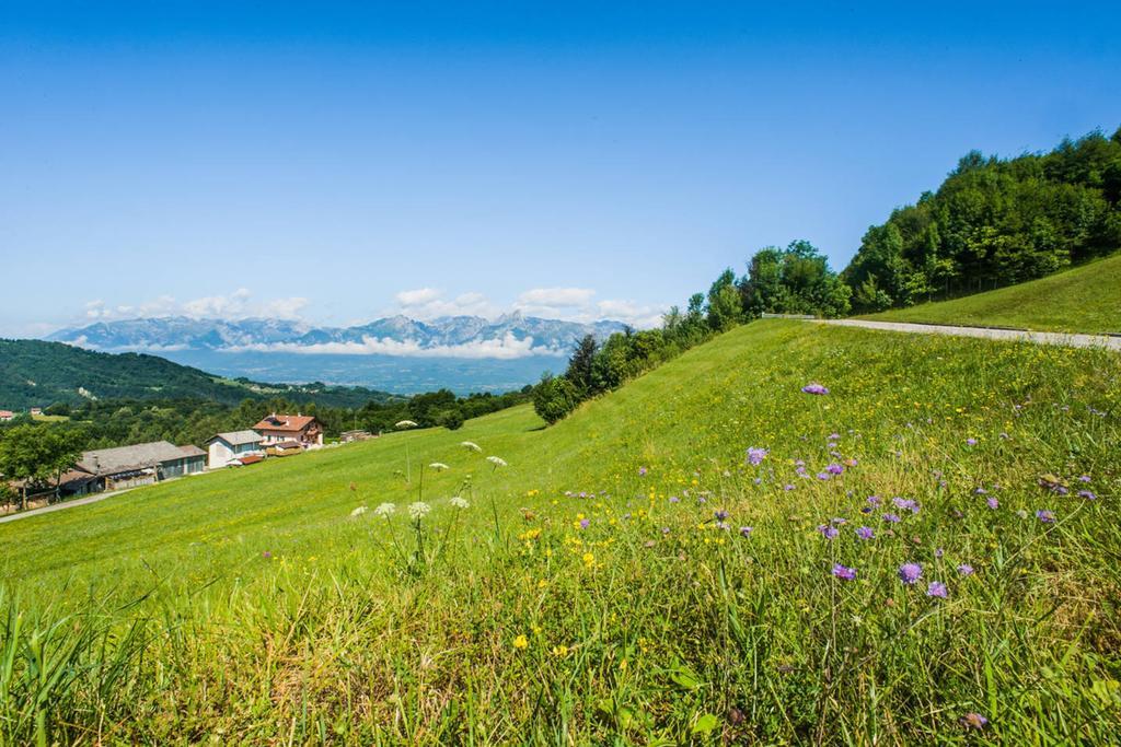 Agriturismo Fattoria Ortoalpino Trichiana Eksteriør bilde