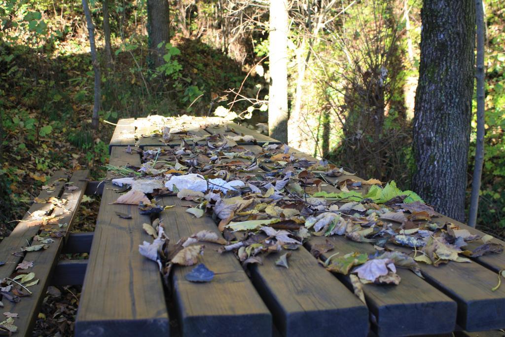 Agriturismo Fattoria Ortoalpino Trichiana Eksteriør bilde