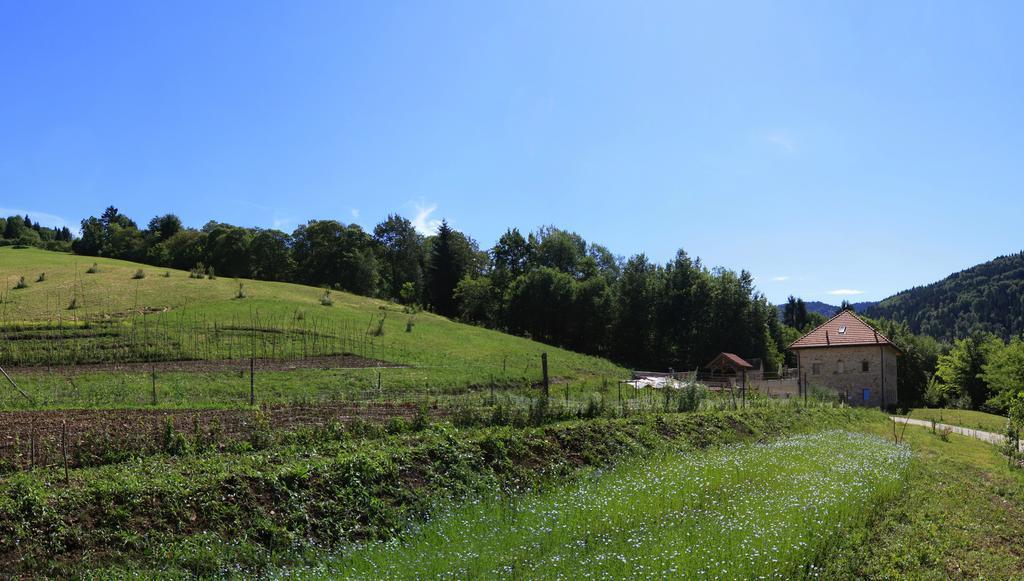 Agriturismo Fattoria Ortoalpino Trichiana Eksteriør bilde
